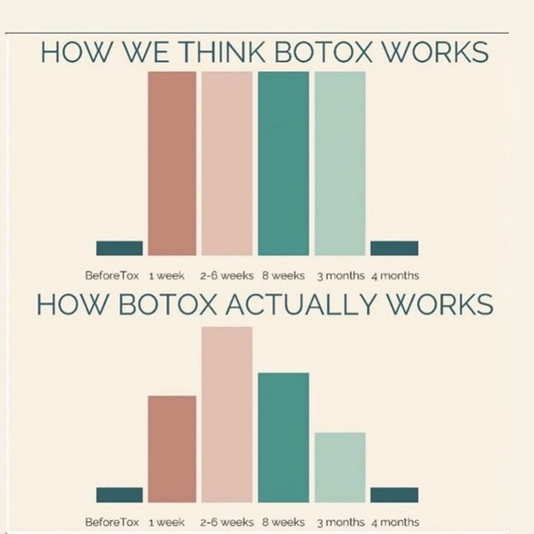 Graph photo of how Botox works | Healthy Glow Medspa Orlando, FL